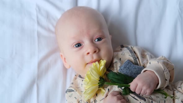 portrait of a smiling baby with a flower in his hands