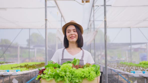 Asian beautiful farmer girl carrying box of vegetables green salad in hydroponic greenhouse farm.