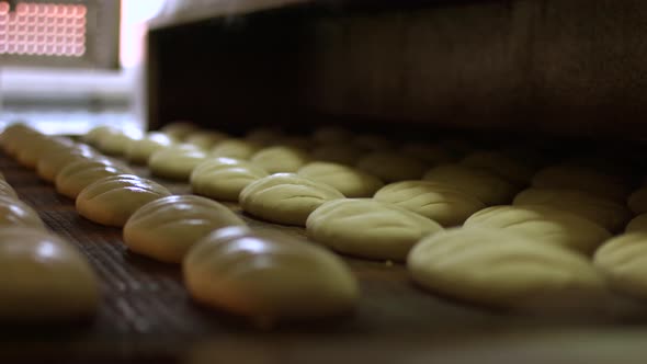 Baking of Bread. Manufacture of Bread