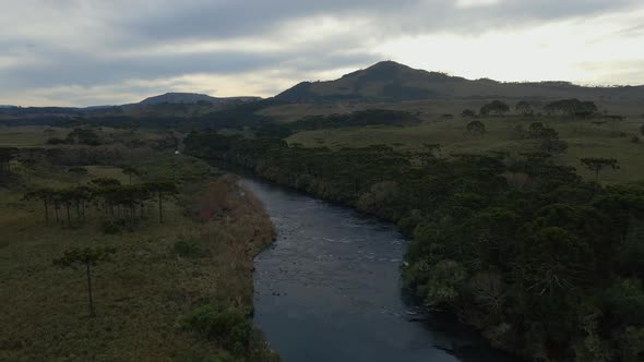 Nature of Southern Brazil in the Morning