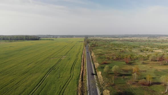 The Road Near the Green Field