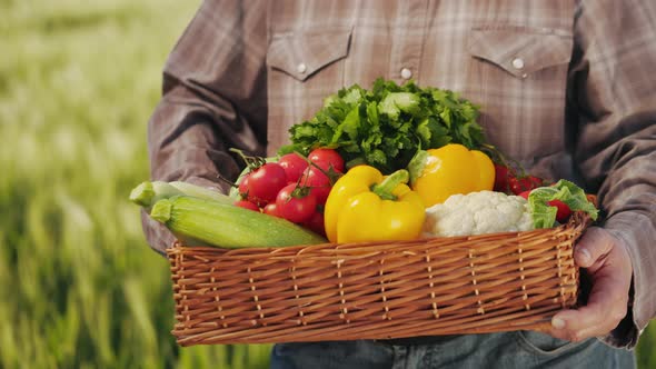 An Old Farmer is Holding a Basket of Vegetables