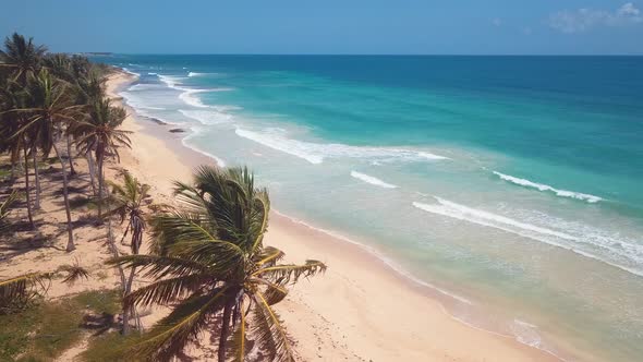 4k 24fps Dron Shoot In The Caribbean Beach With Pamlstree With Waves In The Sea 6