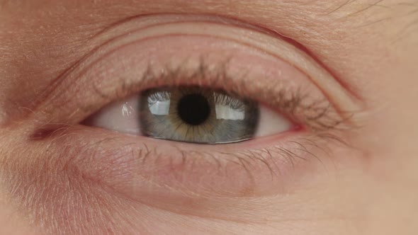 Macro shot of a woman's blue eyes