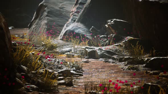 Gravel Path with Rocks in Mountains