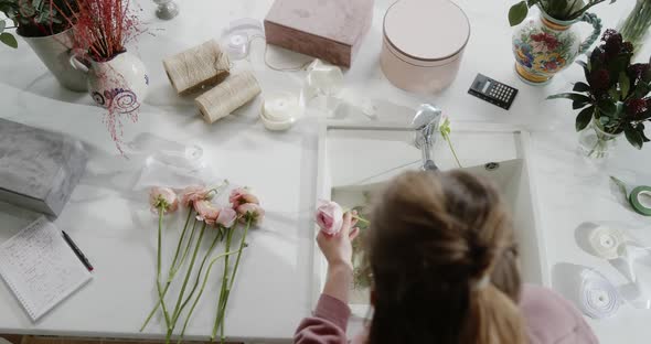 Anonymous Woman Sorting Flowers Over Sink in Studio