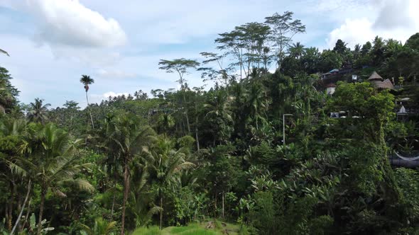 Amazing Tegalalang Rice Terrace in Bali Indonesia