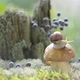 A Large Snail Crawls on a White Mushroom in the Forest - VideoHive Item for Sale