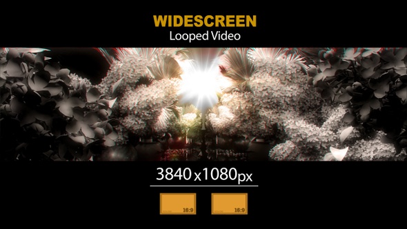 Widescreen Magic Garden Hall 13