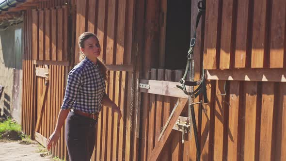 Horse Owner Picking Hays From The Ground And Putting Them Inside The Horse Stall