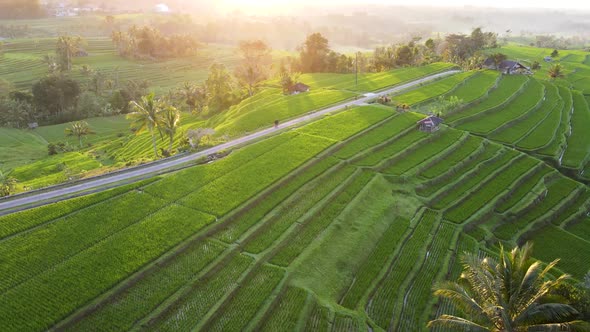 Jatiluwih Tabanan Bali Aerial View