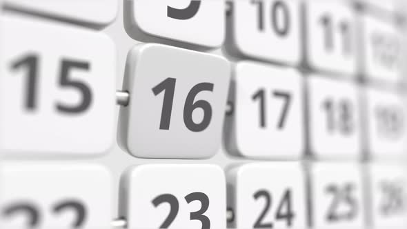 16 Date on the Turning Calendar Plate