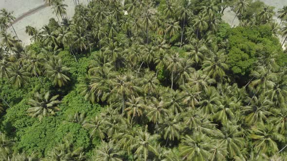 Aerial: flying over desert islands coral reef tropical caribbean sea, turquoise