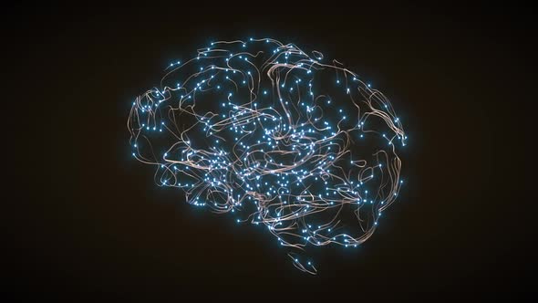 Brain Activity Visualization with Particles and Tracers