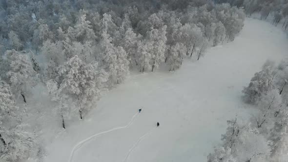 Aerial View of the Slopes of the Ski Resort