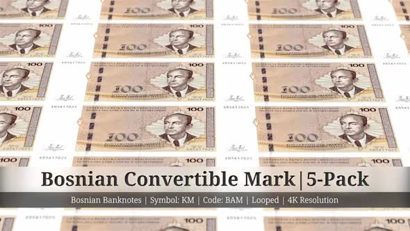 Bosnian Convertible Mark | Bosnia and Herzegovina Currency - 5 Pack | 4K Resolution | Looped