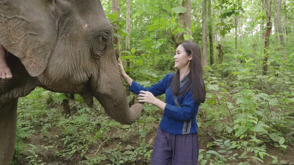 Woman is Taking Care Her Elephant 