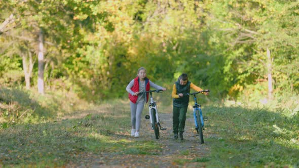 Children Walk in Nature with Bicycles