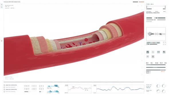 Microscopic Examination Of Blood Flow In Vein By Anatomical Scanner Software