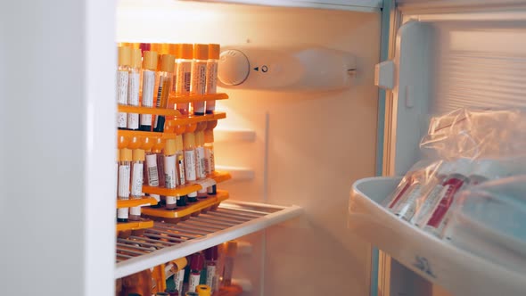 Test Tubes with Sample Samples Stored in the Refrigerator.