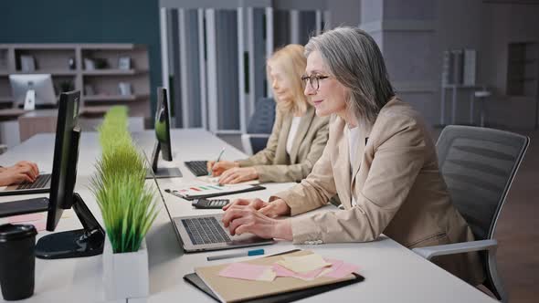 Positive Grey Haired Mature Woman Manager Typing on Laptop Working at Office with Colleagues