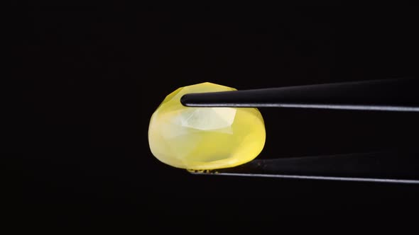 Natural Yellow Fire Opal Gemstone in the Tweezer on the Background