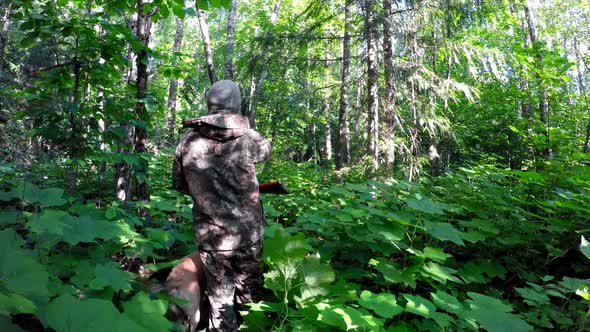 Male hunter hunting in the forest 4k