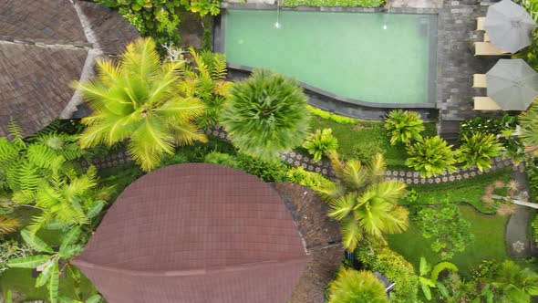 Top aerial view of swimming pool in resort with tropical garden in Bali, Indonesia