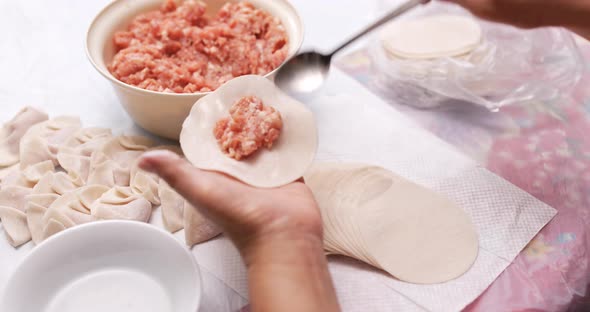 Making meat dumpling at home