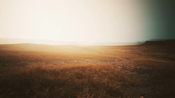 Dry Yellow Grass on the Rocky Mountain with Heavy Fog