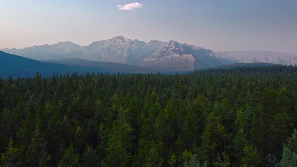 Mountain Range and forest in the evening