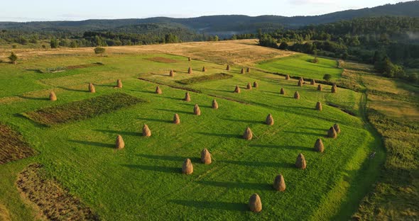 Sheaves Of Hay In The Field. Countryside. Carpathian Mountains