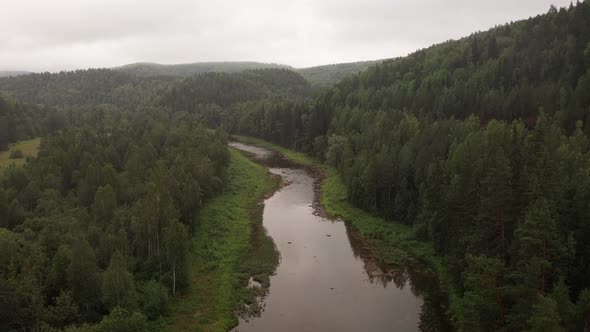 Beautiful River Among Green Pine Tree Forest