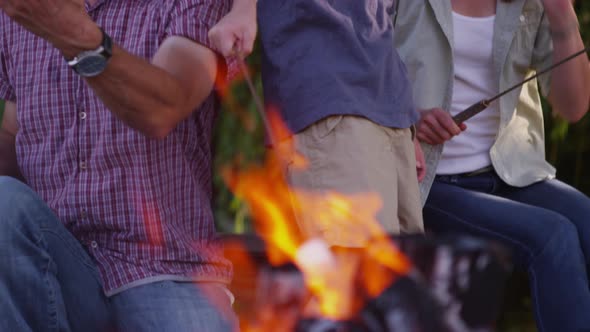 Family toasting marshmallows on camp fire