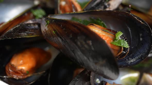 Mussels 33