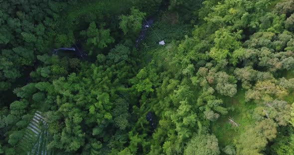 aerial drone view of dense forest with a meandering river. dense vegetation in the village of Butuh,