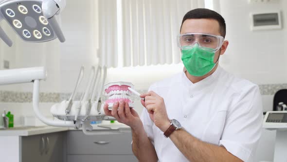 Male dentist holding jaw teeth model and explaining about gum. Health education.