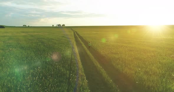 Sporty Child Runs Through a Green Wheat Field