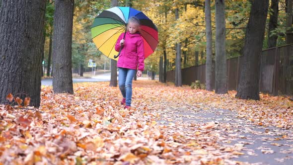 Little Girl Walking with Rainbow Umbrella Autumn Fallen Golden Orange Maple Leaves in Park