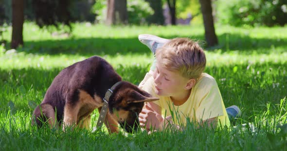 Happy Child Playing Puppy at Green Park