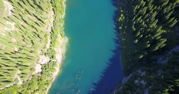 Coniferous Trees Rise From Depths of Mountain Lake