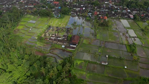 Aerial Shot Circling the Pura Pegulingan Temple Surrounded By Flooded Rice Fields in Bali