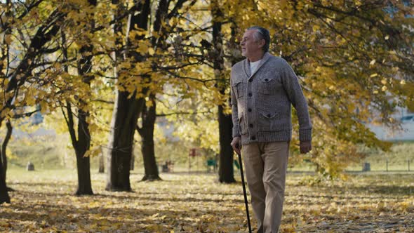 Senior man with walking stick at the park. Shot with RED helium camera in 8K