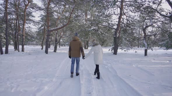 Rear View of a Couple Walking in a Beautiful Snowy Forest Holding Hands