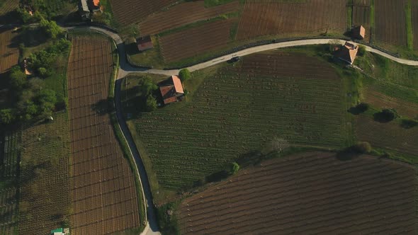 Afternoon high altitude forward movement drone view above some private vineyard estates. ( DJi Drone