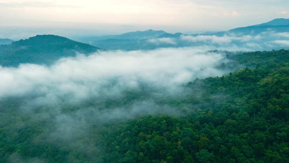 Aerial view Beautiful of morning scenery Golden light sunrise. alt