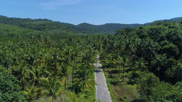 Beautiful Aerial of an empty road surrounded by Palm Trees at Koh Kood Island, Thailand.