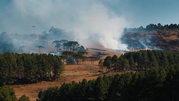 Wild Fire in the Mountains in Brazil