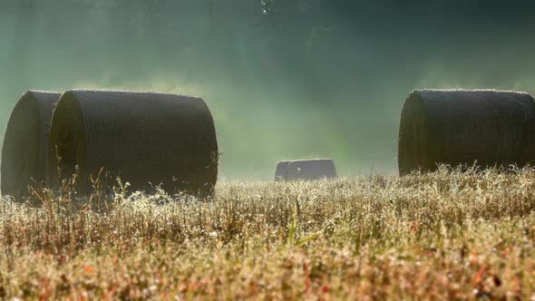 Hay Bale