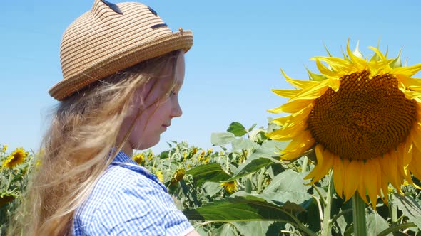 Little girl in blue summer dress with cute ladybug crawling on a straw hat on sunflower field